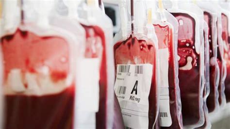 Operation Puerto: Blood bags in Spanish cycling doping case to .